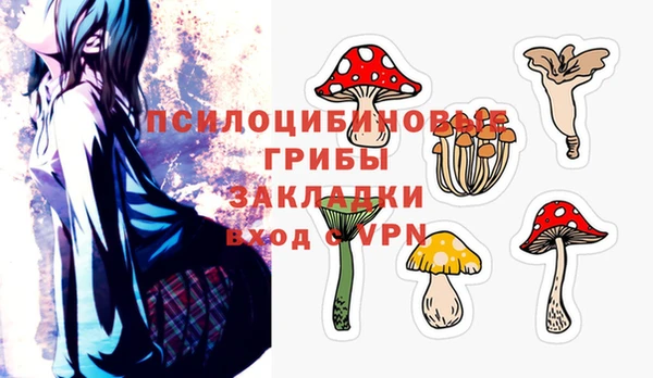 прущие грибы Абдулино