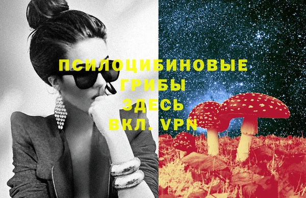 прущие крисы Алзамай