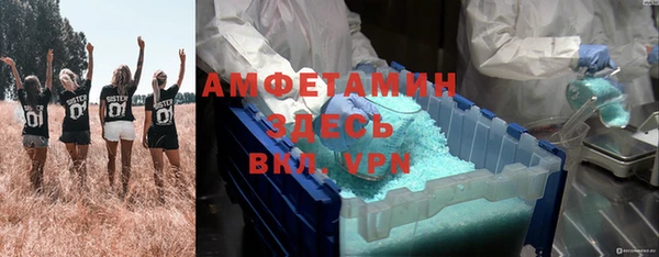 прущие грибы Абдулино