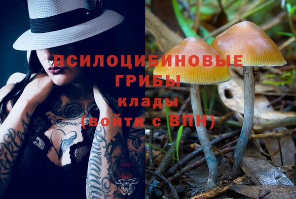 хмурый Алексеевка