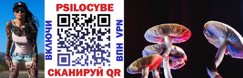 Псилоцибиновые грибы прущие грибы  Кохма 