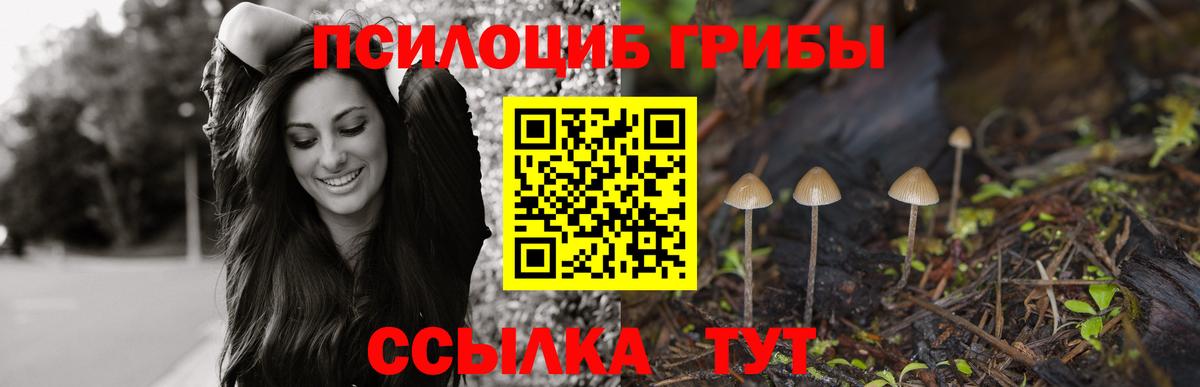 Галлюциногенные грибы Magic Shrooms Кохма